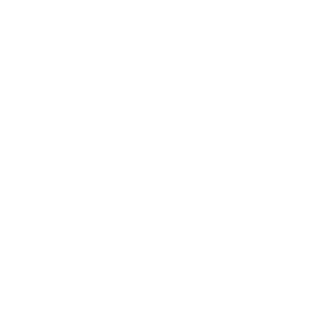 Hi Fructose logo